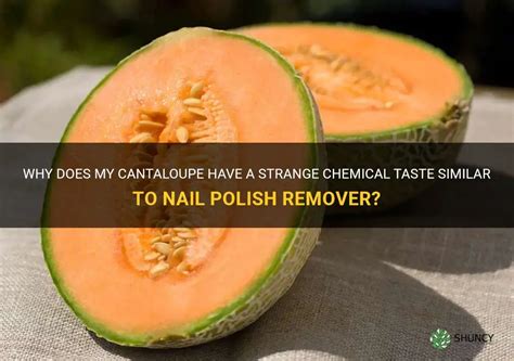 So your FERMENTED fruit WILL start . . Is it safe to eat cantaloupe that tastes like nail polish